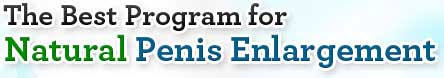  The Best Program for